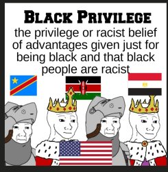 black privilege is racism Meme Template