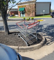 Unreturned Shopping Cart Meme Template