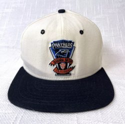Panthers hat Meme Template