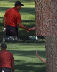 Tiger Woods Meets a Tree Meme Template