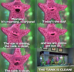 Nemo Starfish Meme Template