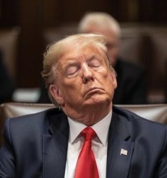#SleepyDon Meme Template