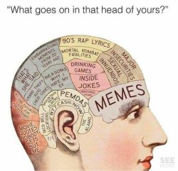 The average brain Meme Template