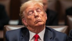 Drowsy Don Meme Template