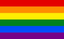 Gay Flag Meme Template