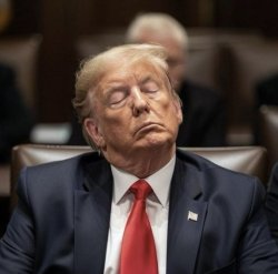 Drowsy Donald Meme Template
