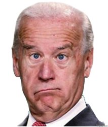 Confused biden Meme Template