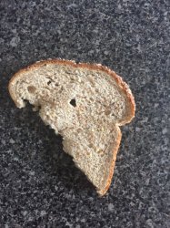 half eaten bread :3 Meme Template