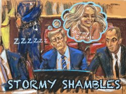 Trump Sleeping in Courtroom Sketch Stormy Shambles Meme Meme Template
