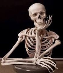 scheletro 2 Meme Template