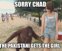 Chad Meme Template
