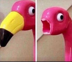 Surprised Flamingo Meme Template