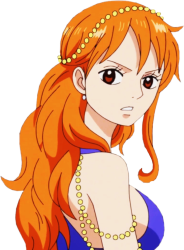 nami Meme Template