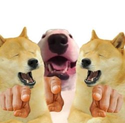 doge laughing Meme Template