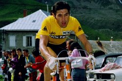 Eddy Merckx yellow jersey Meme Template