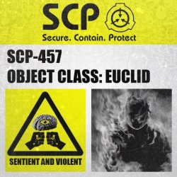 SCP-457 Label Meme Template