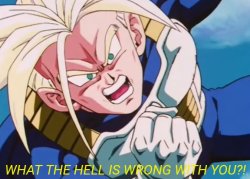 Trunks what the hell is wrong with you Meme Template