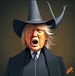 Donald Trump witch-hunt Meme Template