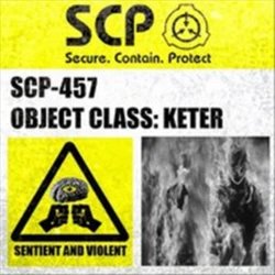 SCP-457 EUCLID/POTENTIAL KETER Label Meme Template