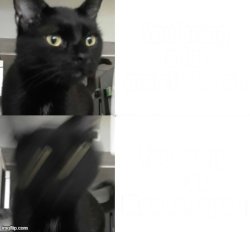 JMA’s roommates cat Meme Template
