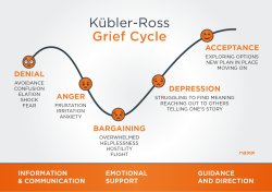 Grief Cycle Meme Template
