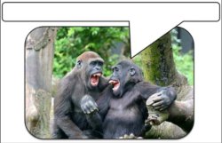 monkeys chatting Meme Template