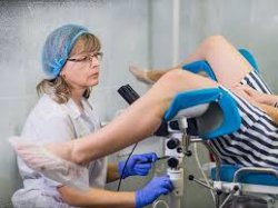 Best view ever Meme Template