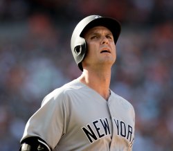 Greg Bird Meme Template