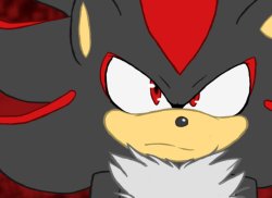 shadow the hedgehog Meme Template