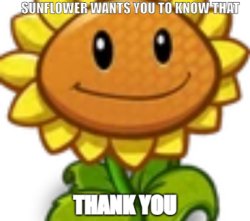 Sunflower wants you to know that Meme Template