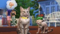 Angry Sims 4 Trailer Cat Meme Template