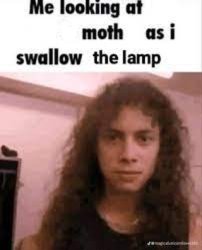 me looking at moth as i swallow the lamp Meme Template