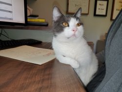 Deep Thoughts Meme Template