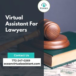 Virtual Assistant For Lawyers Meme Template