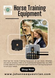 Horse Training Equipment Meme Template