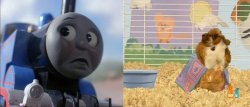 Thomas feels bad for linny Meme Template