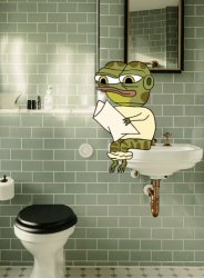 hoppy toilet sink Meme Template
