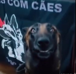 Happy police dog Meme Template