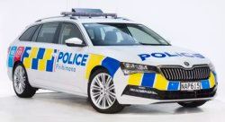 NZ Police Car Meme Template