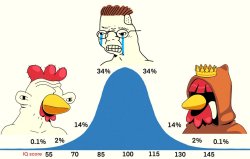 Bell Curve COQ Meme Template