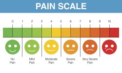 Pain Scale Meme Template