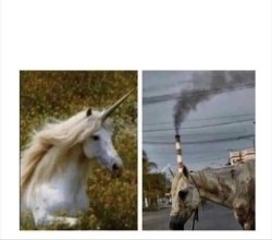 before & after unicorn Meme Template