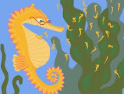 male seahorse Meme Template
