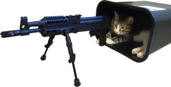 Defense Cat Meme Template