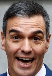 perro sanxe se queda Meme Template