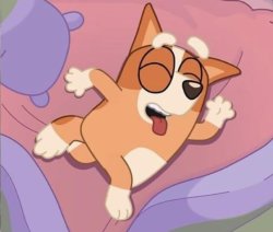 Sleeping bingo Meme Template