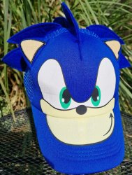 Sonic Hat Meme Template