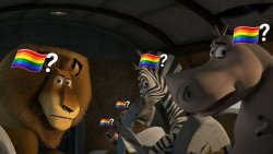 Gay? Meme Template