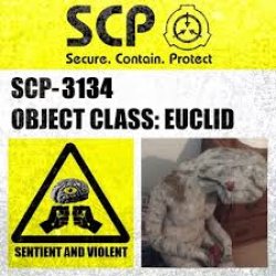 SCP-3134 Sign Meme Template