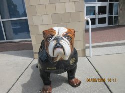 Jacksonville Police "Dog" Meme Template